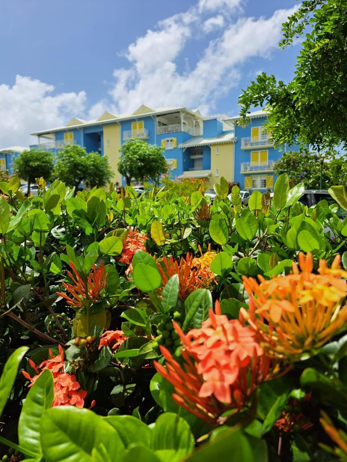 Ste Luce, N° 11 Appart -300M Plage De Mabouyas Corps de Garde Exterior photo